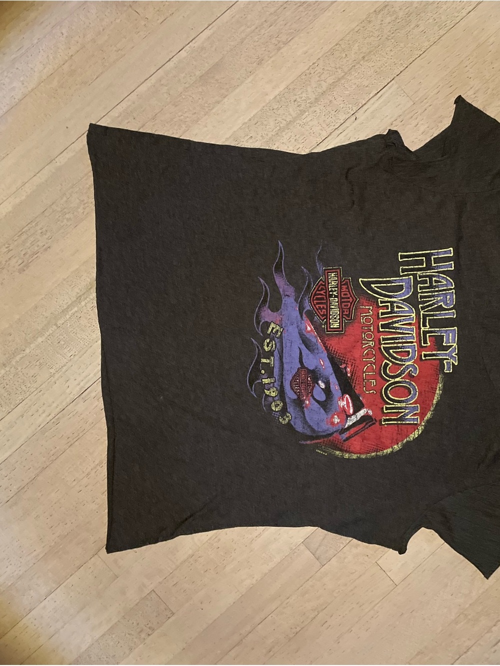 Harley-Davidson Black Tee with Red and Purple Flame Graphic
